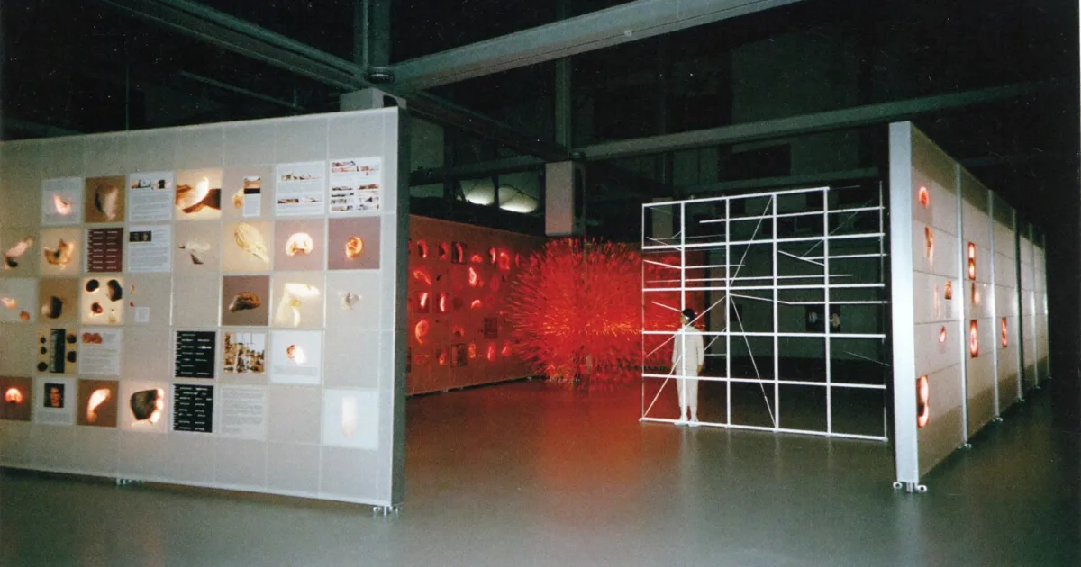 Drei verbundene Installationen für Erinnerung, Alarm und Regulation umgeben eine Person in einer Wiener Ausstellungshalle.