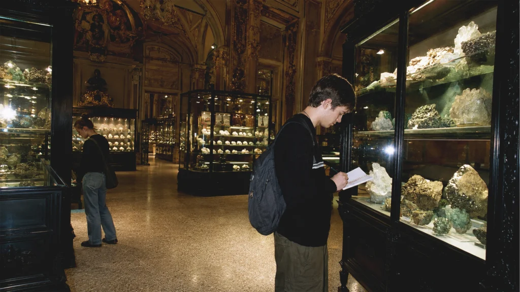 Junge Besucherin betrachtet eine naturhistorische Sammlung in Wien.
