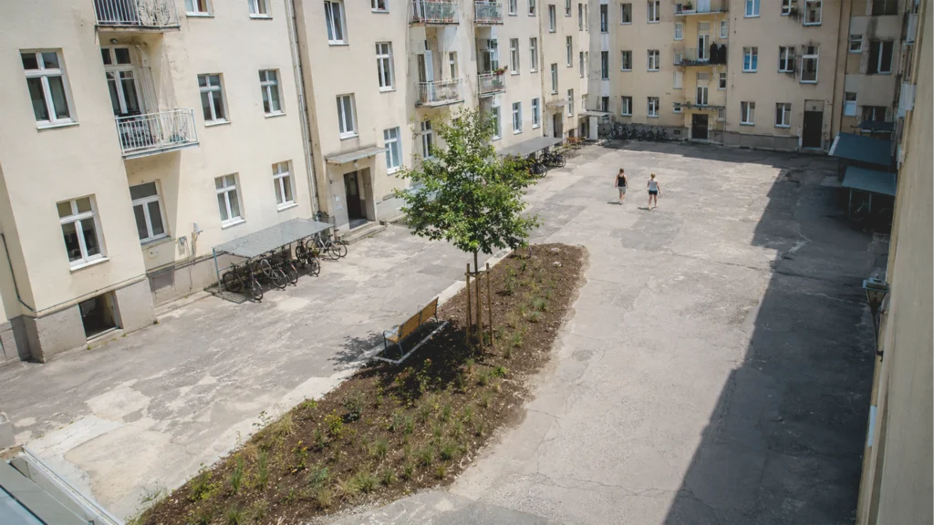 Ein entsiegelter Innenhof mit neuem Schattenbaum in einem Wiener Gemeindebau.
