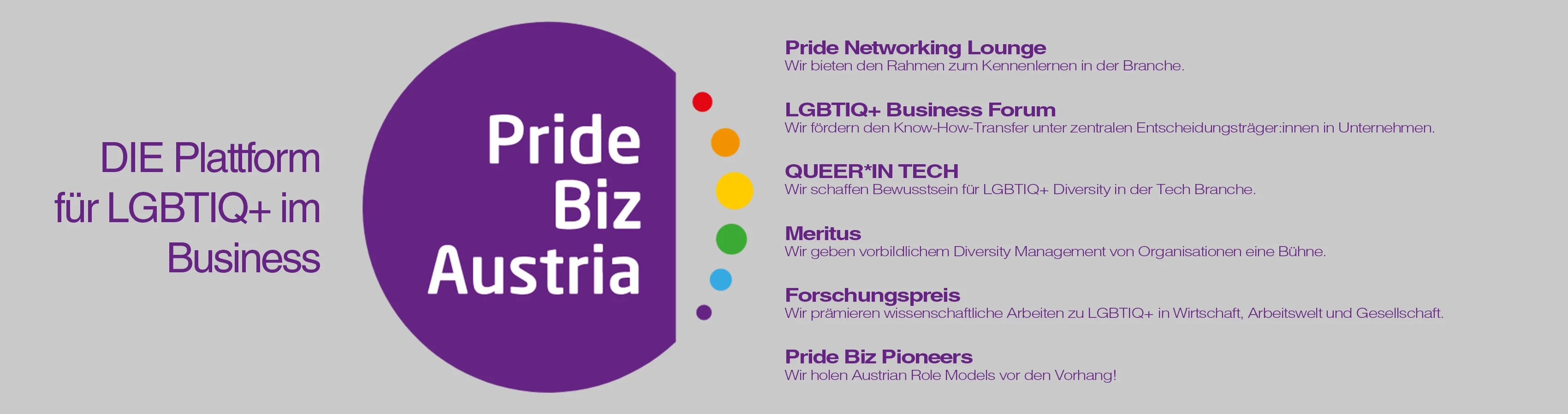 Werbebanner von Pride Biz Austria, dem Verband zur Förderung von LGBTIQ+ in der österreichischen Wirtschaft